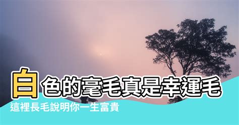 左手 長白毛|這裡長毛說明你一生富貴